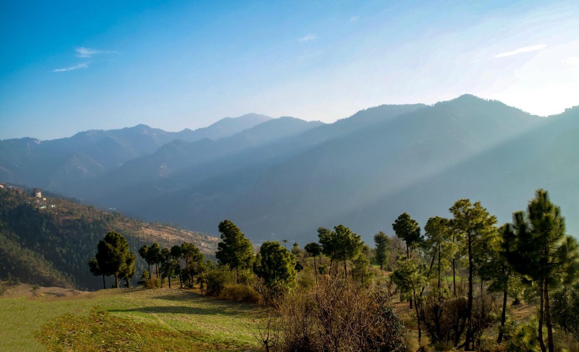 The Manor Luxury Apartments, Shimla Mashobra Exterior foto